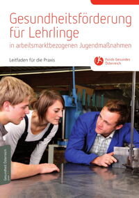 Gesundheitsförderung für Lehrlinge in arbeitsmarktbezogenen Jugendmassnahmen - Leitfaden für die Praxis