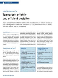 Teamarbeit effektiv und effizient gestalten